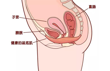 月子會所盆底肌儀器有用嗎？選擇月子會所有什么好處？